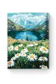 Картина по номерам на подрамнике «Ромашки» 35x25 см