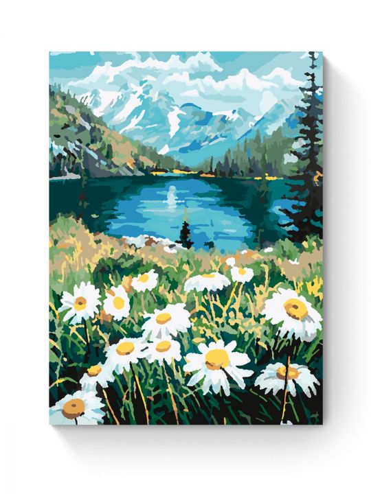 Картина по номерам на подрамнике «Ромашки» 25x20 см Картина по номерам на подрамнике «Ромашки» 25x20 см