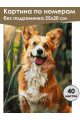 Картина по номерам без подрамника «Веселый корги» 25x20 см