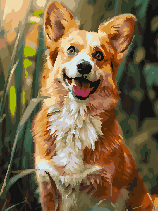 Картина по номерам без подрамника «Веселый корги» 25x20 см