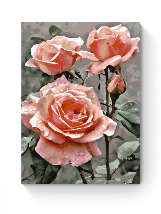 Картина по номерам на подрамнике «Три розы» 35x25 см Картина по номерам на подрамнике «Три розы» 35x25 см