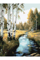 Картина по номерам без подрамника «Речка в лесу» 25x20 см
