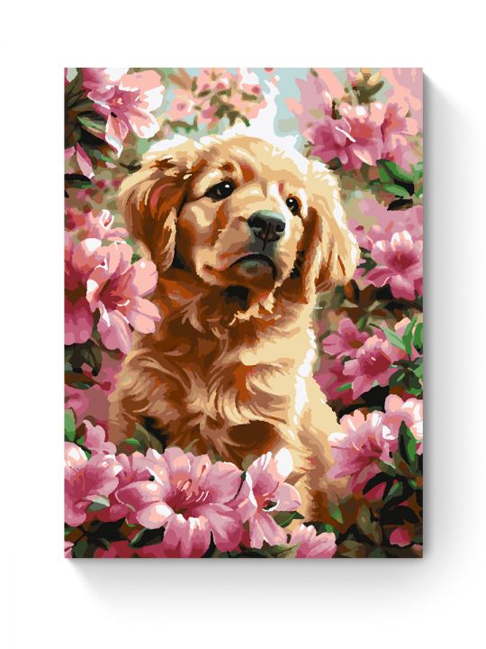 Картина по номерам на подрамнике «Лабрадор» 35x25 см