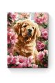 Картина по номерам на подрамнике «Лабрадор» 35x25 см