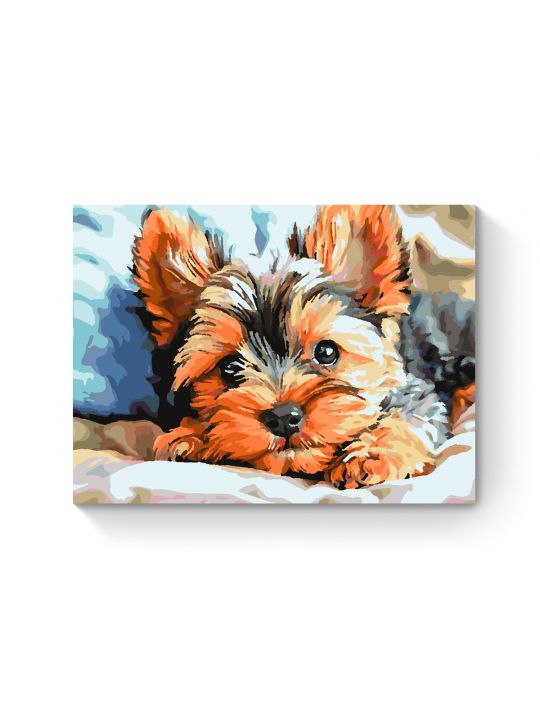 Картина по номерам на подрамнике «Йорк щенок» 35x25 см