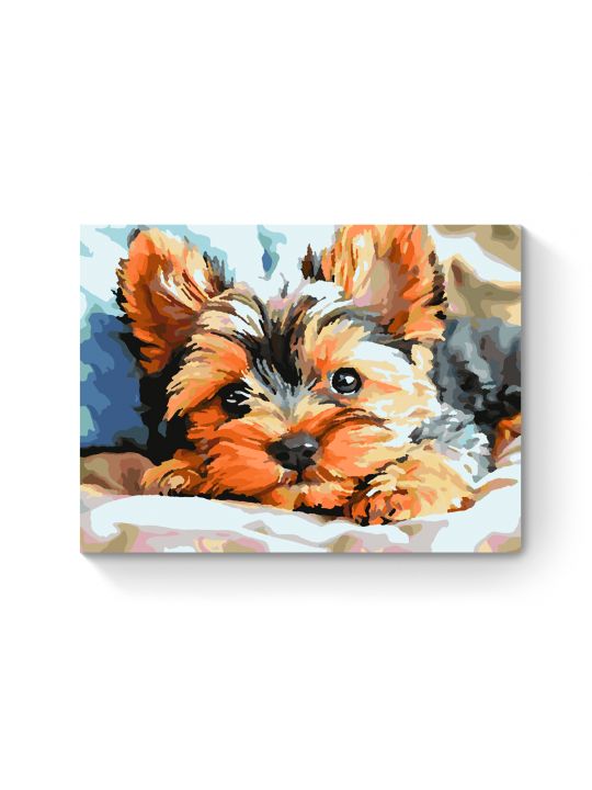 Картина по номерам на подрамнике «Йорк щенок» 25x20 см