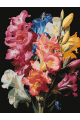 Картина по номерам на подрамнике «Гладиолусы» 35x25 см