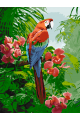 Картина по номерам на подрамнике «Попугаи ара» 25x20 см