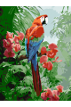 Картина по номерам без подрамника «Попугаи ара» 25x20 см