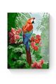 Картина по номерам на подрамнике «Попугаи ара» 25x20 см