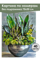 Картина по номерам без подрамника «Суккуленты» 70x50 см