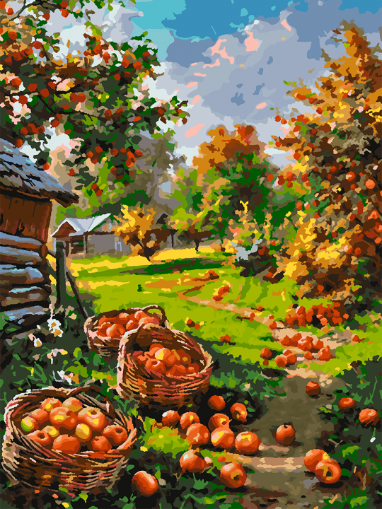 Картина по номерам без подрамника «Урожай яблок» 70x50 см