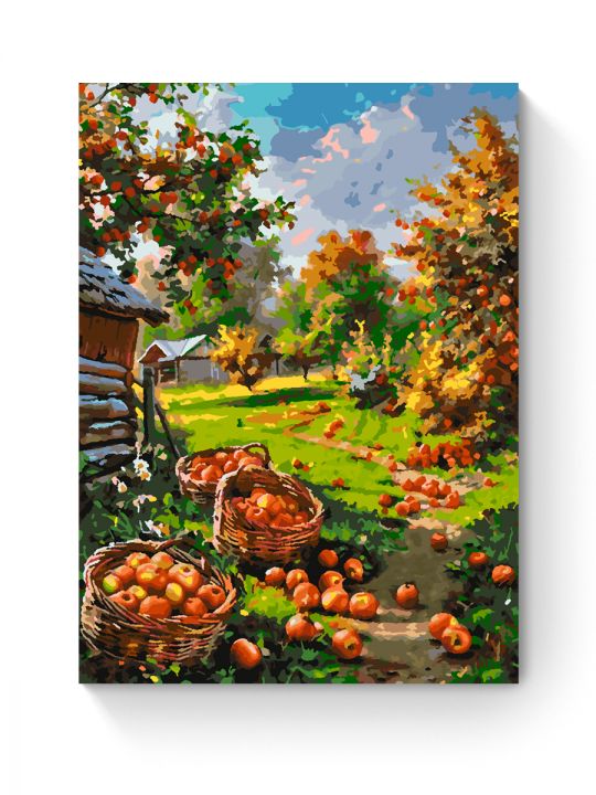 Картина по номерам на подрамнике «Урожай яблок» 70x50 см