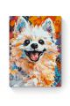 Картина по номерам на подрамнике «Яркий шпиц» 70x50 см