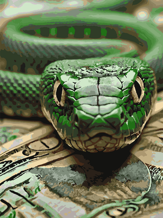 Картина по номерам без подрамника «Змей достатка» 70x50 см