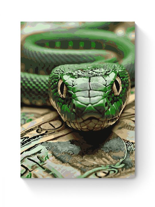 Картина по номерам на подрамнике «Змей достатка» 70x50 см