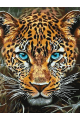Картина по номерам без подрамника «Леопард» 70x50 см