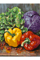 Картина по номерам на подрамнике «Спелые овощи» 70x50 см