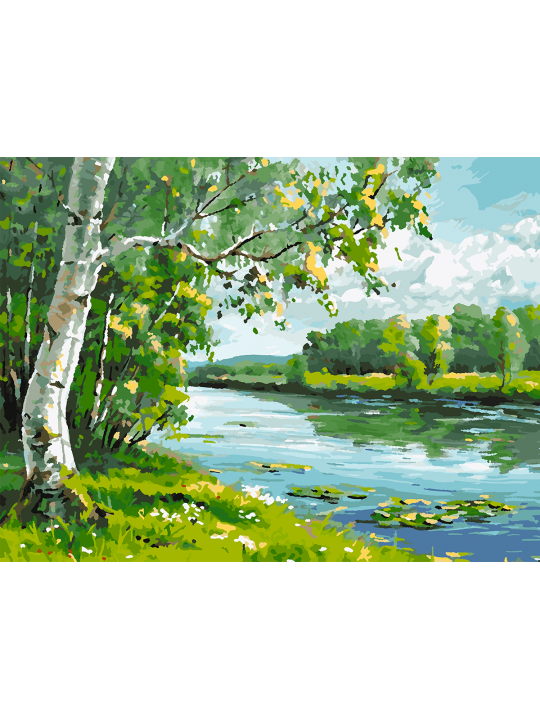 Картина по номерам без подрамника «Береза у реки» 70x50 см