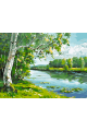 Картина по номерам без подрамника «Береза у реки» 70x50 см