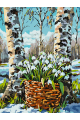 Картина по номерам на подрамнике «Подснежники» 70x50 см