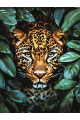 Картина по номерам на подрамнике «Леопард» 70x50 см