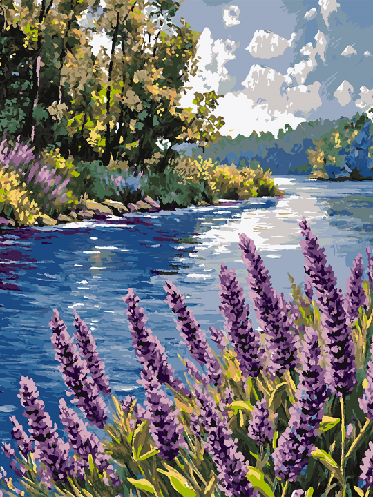 Картина по номерам без подрамника «Шалфей у воды» 90x70 см