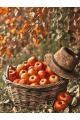 Картина по номерам на подрамнике «Корзина яблок» 70x50 см