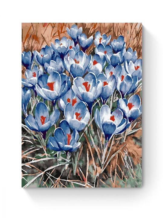 Картина по номерам на подрамнике «Крокусы» 70x50 см