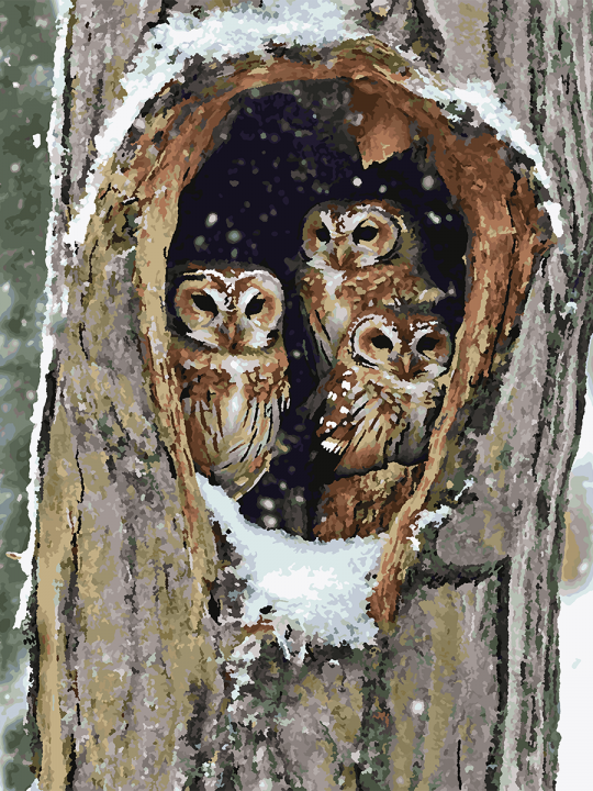 Картина по номерам без подрамника «Совы в дупле» 90x70 см