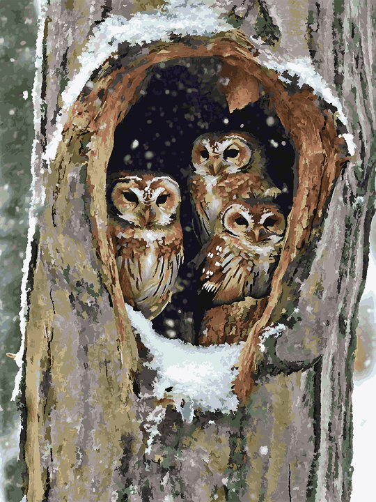 Картина по номерам без подрамника «Совы в дупле» 130x100 см