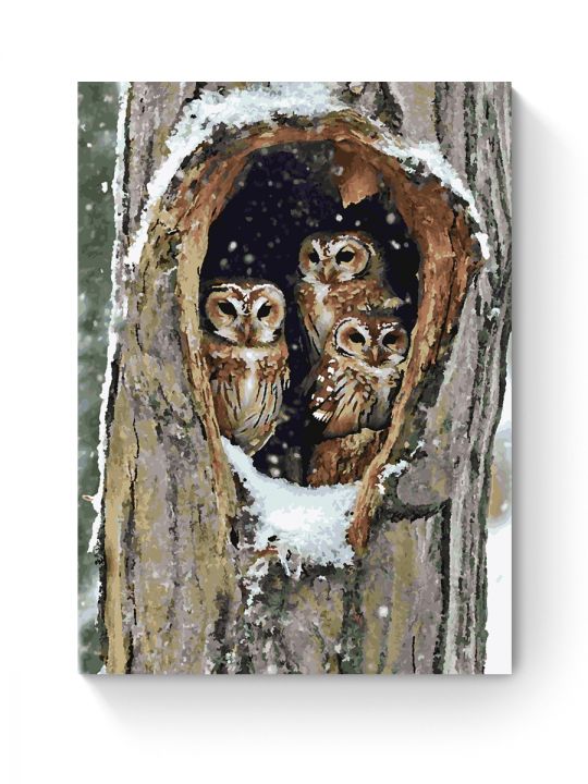 Картина по номерам на подрамнике «Совы в дупле» 90x70 см