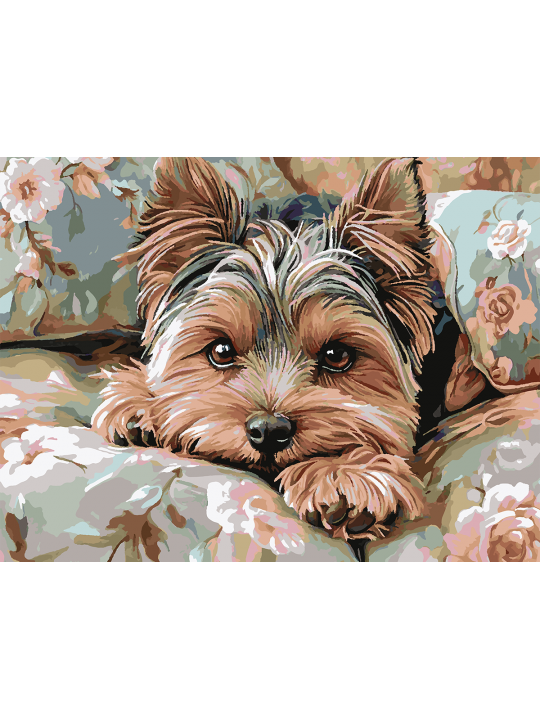 Картина по номерам без подрамника «Милый йорк» 90x70 см