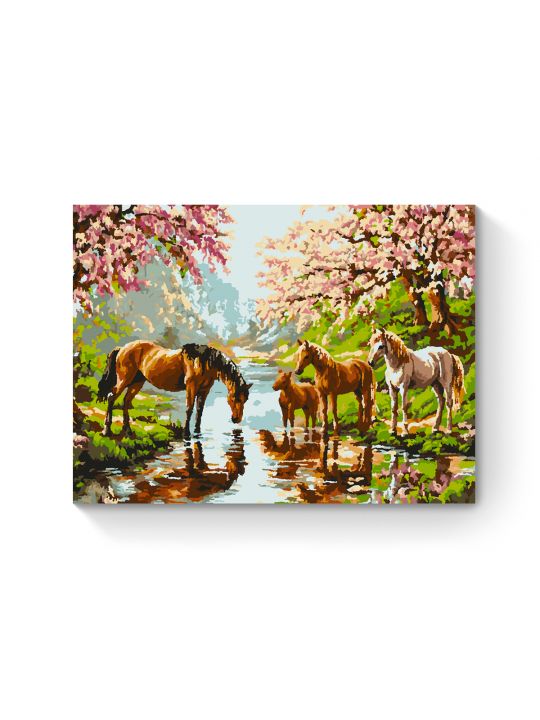 Картина по номерам на подрамнике «Дикие лошади» 70x50 см