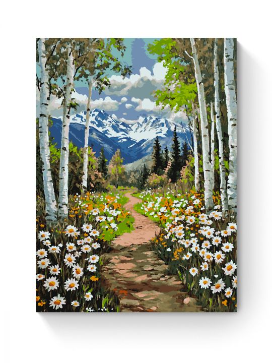 Картина по номерам на подрамнике «Тропа в горы» 90x70 см