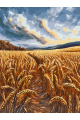 Картина по номерам на подрамнике «Поле пшена» 90x70 см