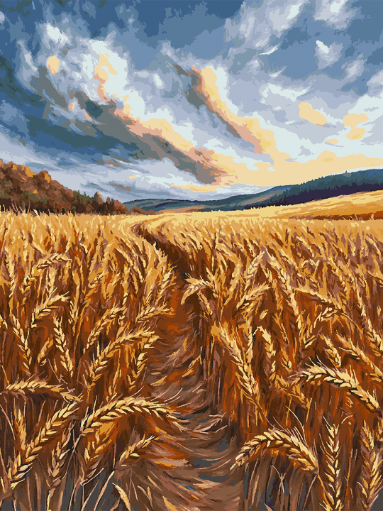 Картина по номерам без подрамника «Поле пшена» 130x100 см Картина по номерам без подрамника «Поле пшена» 130x100 см