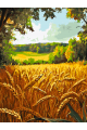 Картина по номерам на подрамнике «Поле пшеницы» 90x70 см