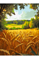 Картина по номерам без подрамника «Поле пшеницы» 130x100 см