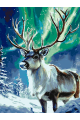 Картина по номерам без подрамника «Олень севера» 90x70 см