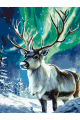 Картина по номерам без подрамника «Олень севера» 130x100 см