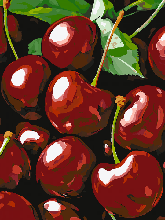 Картина по номерам без подрамника «Спелая вишня» 70x50 см