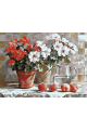 Картина по номерам без подрамника «Герань» 70x50 см
