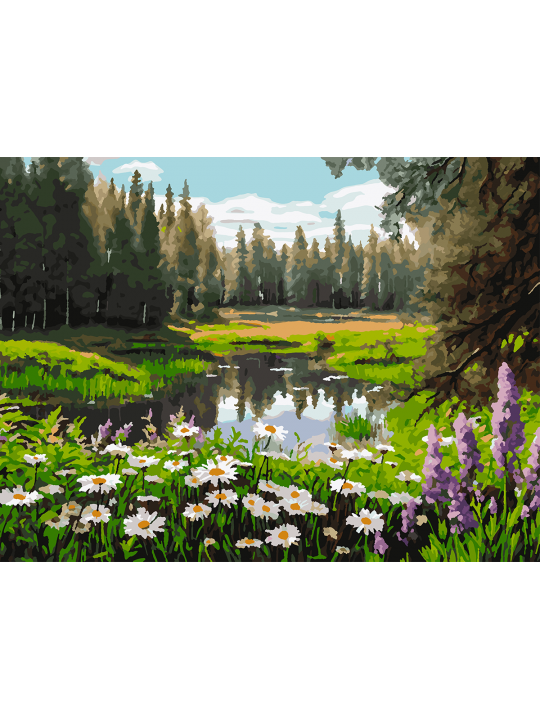 Картина по номерам без подрамника «Цветочный луг» 70x50 см