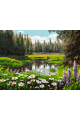 Картина по номерам без подрамника «Цветочный луг» 70x50 см