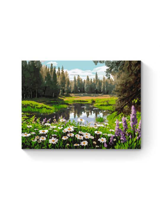 Картина по номерам на подрамнике «Цветочный луг» 70x50 см