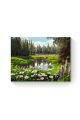 Картина по номерам на подрамнике «Цветочный луг» 70x50 см