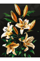 Картина по номерам на подрамнике «Букет лилий» 70x50 см