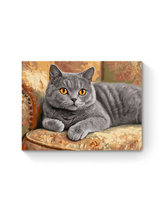 Картина по номерам на подрамнике «Кот Британец» 70x50 см