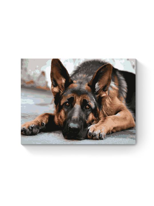 Картина по номерам на подрамнике «Овчарка» 70x50 см